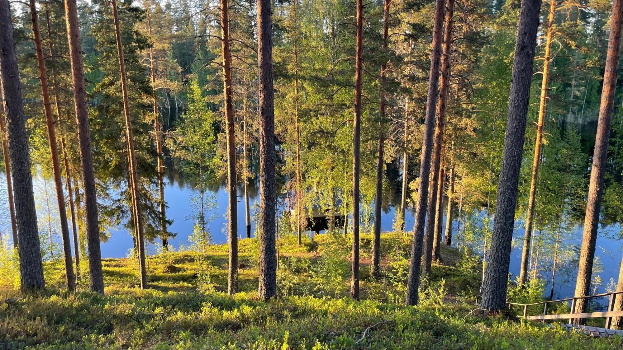Ahvenlampi Camping Saarijärvi Exterior photo