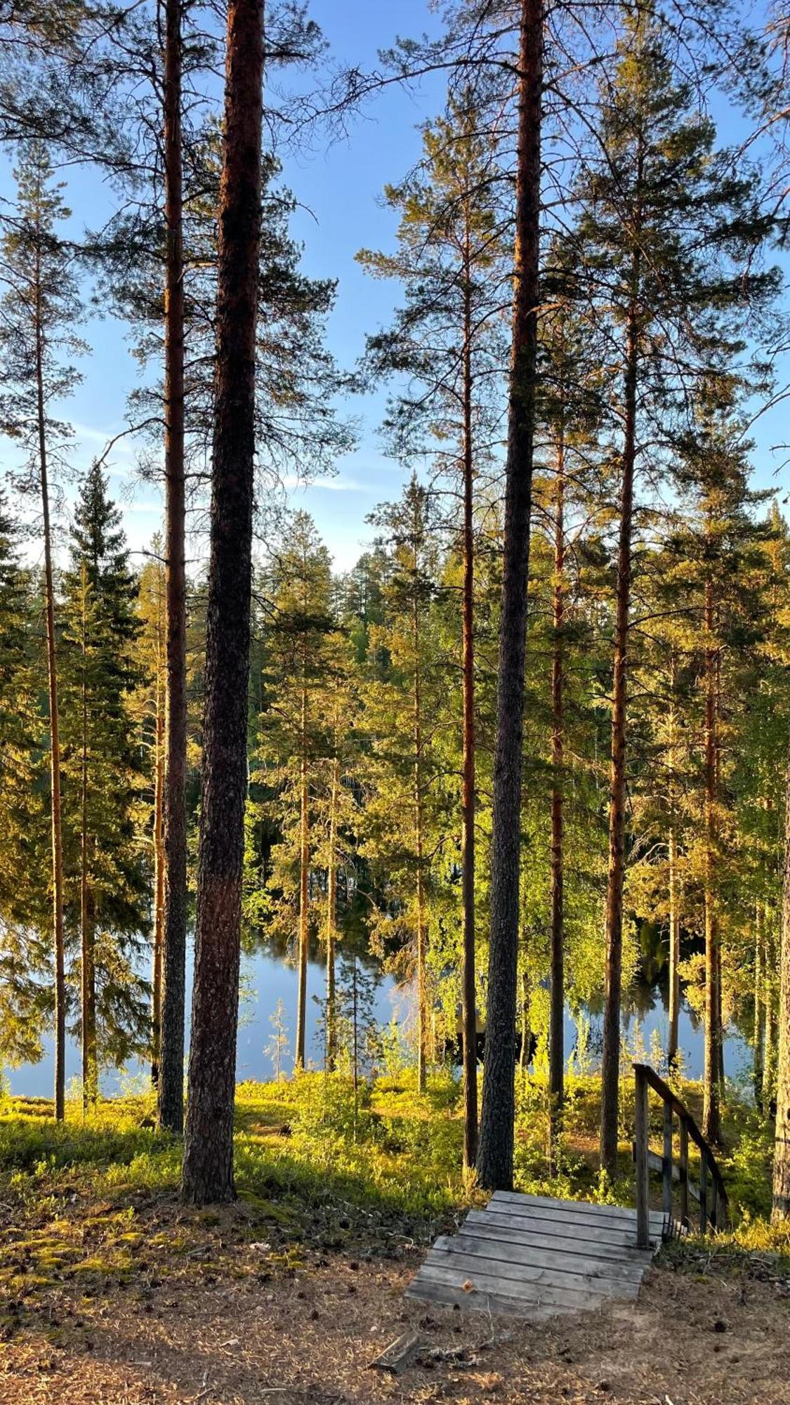 Ahvenlampi Camping Saarijärvi Exterior photo