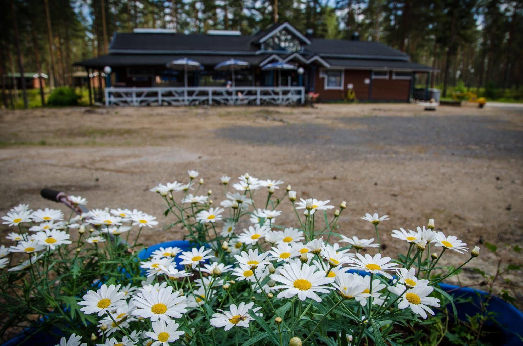 Ahvenlampi Camping Saarijärvi Exterior photo