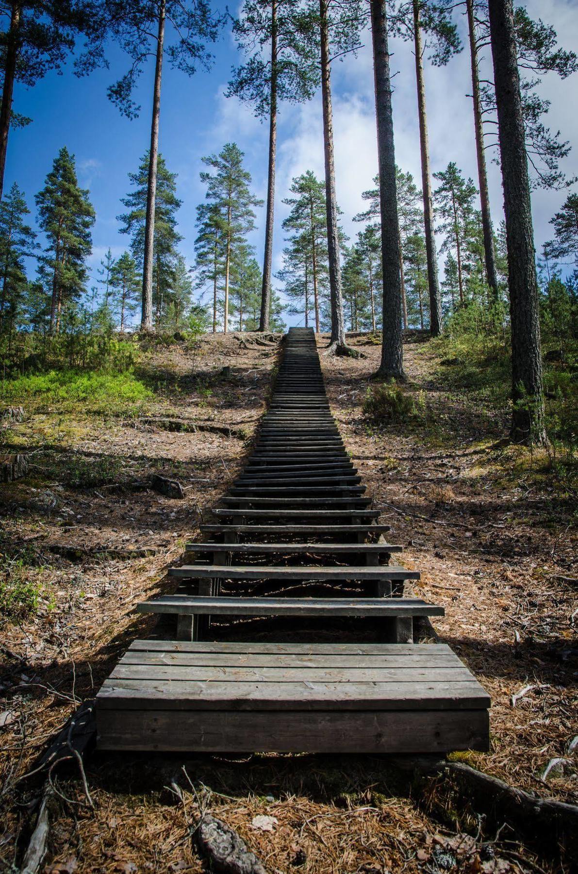 Ahvenlampi Camping Saarijärvi Exterior photo